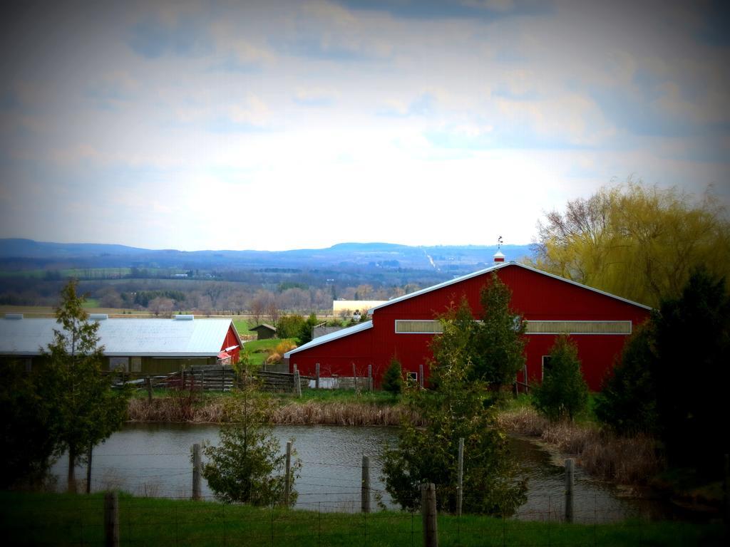 Heathcote Haven Bed & Breakfast คลาร์กสเบิร์ก ภายนอก รูปภาพ